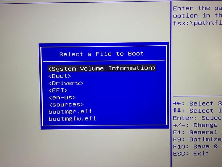 Need help in setting boot priority in bios... which file to choose?? -  Windows 10 Forums