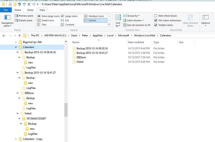 Update for Windows Live Essentials Mail 2012 (KB3093594) kills WLM-wlm-calendar-fix.jpg