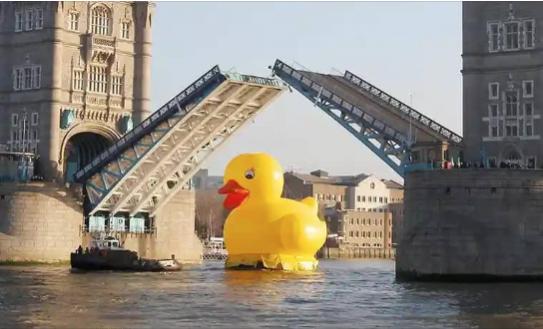 Funny Picture Thread [17]-duck-under-bridge.jpg