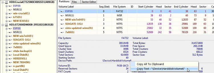 Dual-boot question-dg-copy-device-path.jpg