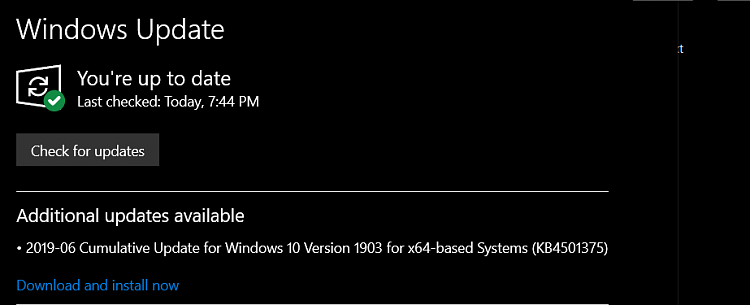 Cumulative Update KB4501375 Windows 10 v1903 build 18362.207 - June 27-image.png