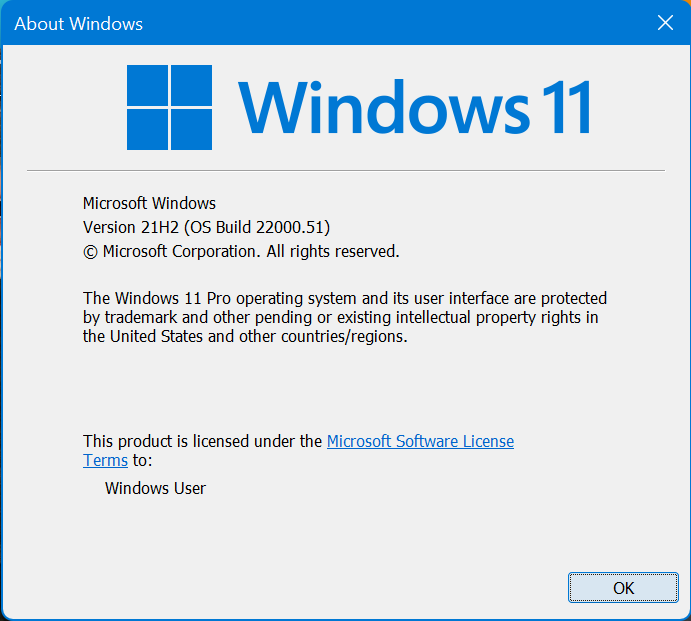 Windows 11 Insider Preview Dev 10.0.22000.51 (co_release) - June 28-2021-06-28_15h48_59.png